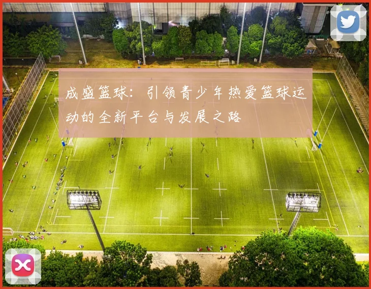 成盛篮球：引领青少年热爱篮球运动的全新平台与发展之路