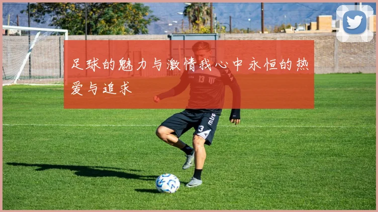 足球的魅力与激情我心中永恒的热爱与追求