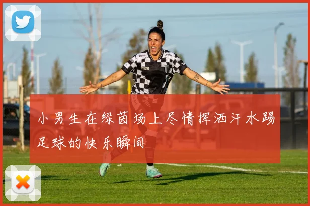 小男生在绿茵场上尽情挥洒汗水踢足球的快乐瞬间